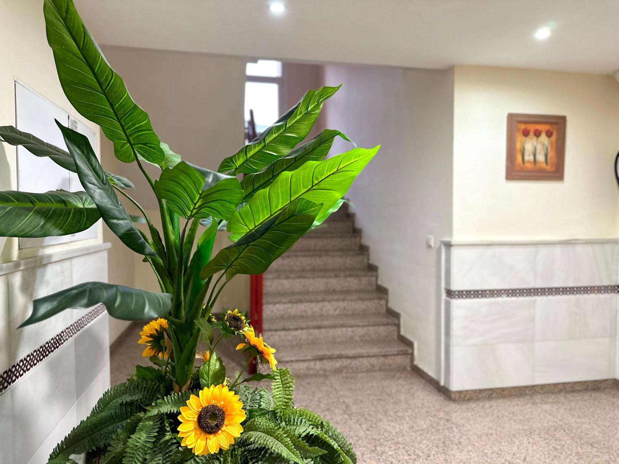 Costa Del Sol Seaside Studio - 5 Mins From Beach 丰希罗拉 外观 照片